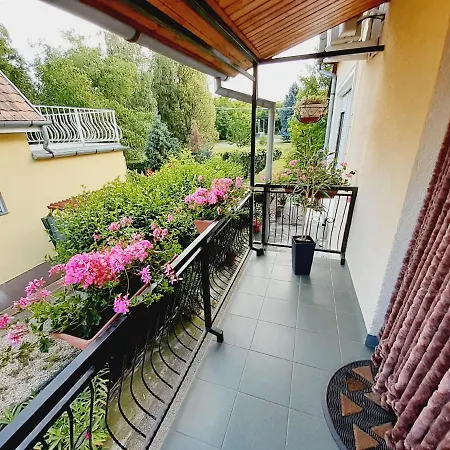Szoke Nyaralo Holiday home *